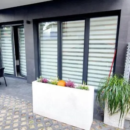 With A Terrace In
